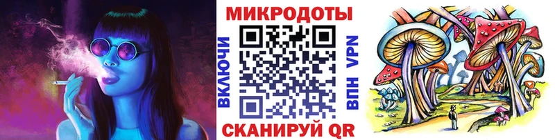 цена Учалы Галлюциногенные грибы Psilocybine cubensis