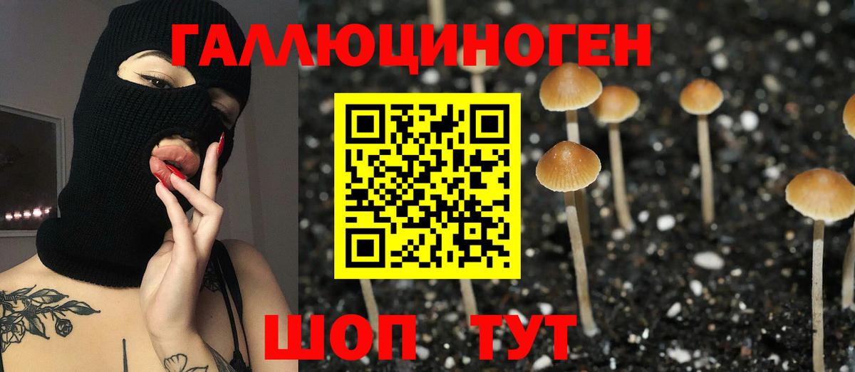 Учалы  купить   Вход с VPN  Псилоцибиновые грибы MAGIC MUSHROOMS 